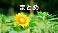 【夏におすすめ】神戸布引ハーブ園で真夏のひまわりポートレート！撮影の注意点やアクセスも紹介！！の画像