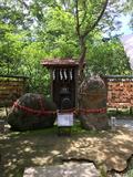 アジサイ寺明月院～ラピュタの世界　Café樹～食い倒れこまち通りの旅の画像