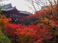 混雑必死！京都の大人気紅葉スポット東福寺の画像