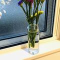 100均セリアの花瓶で「花のある暮らし」始めてみませんか？の画像