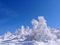 自然が作り出す雪の芸術「スノーモンスター」を見に蔵王温泉への画像