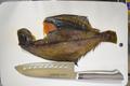 スマイルマルシェのオンライン北海道物産展が素晴らしすぎる！！おうちで北海道を堪能しよう！〜お食事編〜|やっぱり大きなお魚の画像