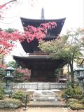 招き猫発祥の地!秋のお天気の日には世田谷区豪徳寺にお散歩に行こう♪の画像