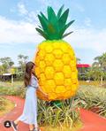 【沖縄】雨でも楽しめるパイナップルの楽園《ナゴパイナップルパーク》|大きなパイナップルのモニュメントの画像