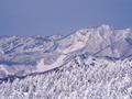 自然が作り出す雪の芸術「スノーモンスター」を見に蔵王温泉への画像