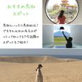 【鳥取は砂丘だけじゃない！】鳥取に訪れたら行きたい場所5選の画像