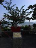 広島県で世羅・尾道・しまなみ海道をめぐる旅行記の画像