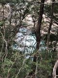パワースポット（＾ω＾）エメラルド色に輝く水面_寸又峡夢の吊り橋_|木々の隙間から見えるダム湖の画像
