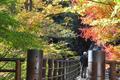 茨城県のオススメ紅葉スポット！今年の秋はここできまり！の画像