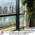 『Hotel Noum Osaka 』まるで韓国のおしゃカフェ！？大阪ホテル女子会はここしか勝たん！|窓からの景色の画像